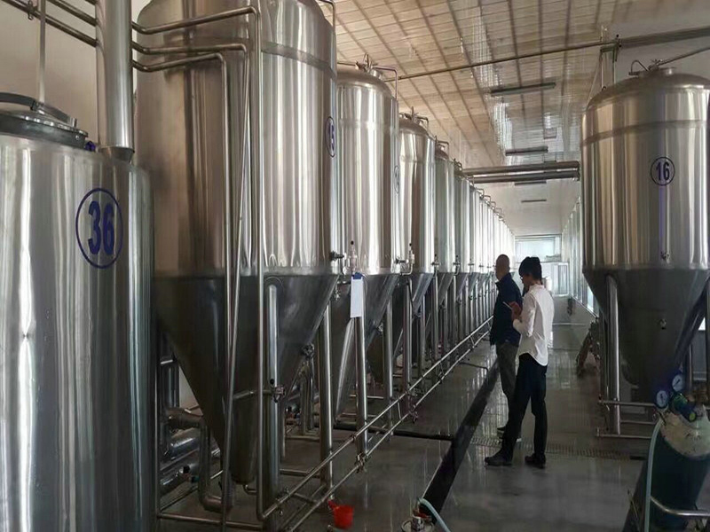 山東豪魯300L發(fā)酵鮮啤釀造設(shè)備