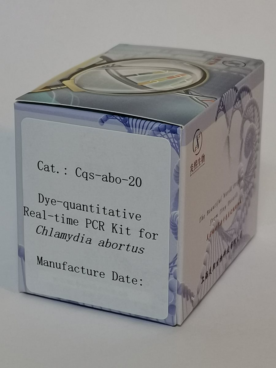 染料法流產(chǎn)衣原體實時定量PCR試