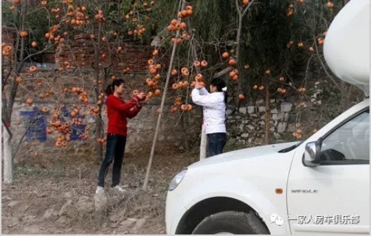 活動出游柿子溝自駕游