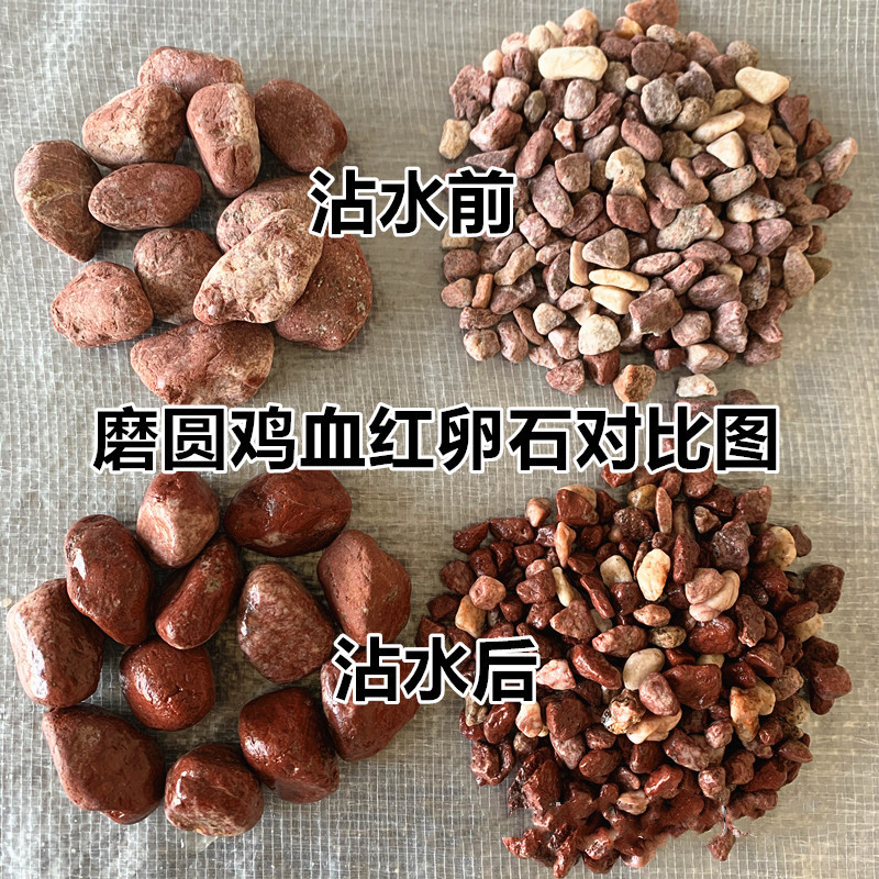 雞血紅卵石報價