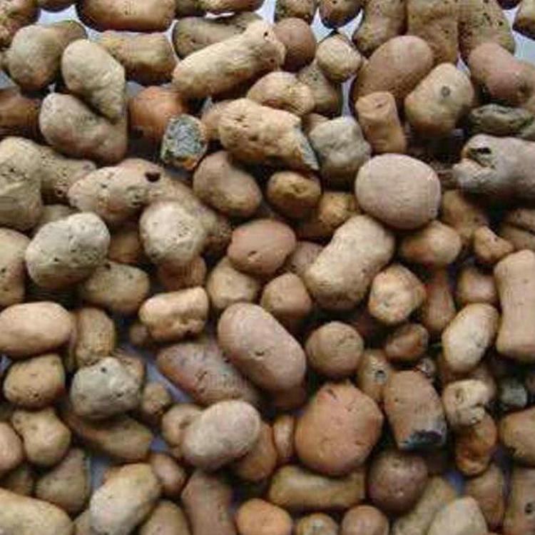 信祥 工程陶粒籽 建筑頁巖陶粒 粘土陶粒籽廠家