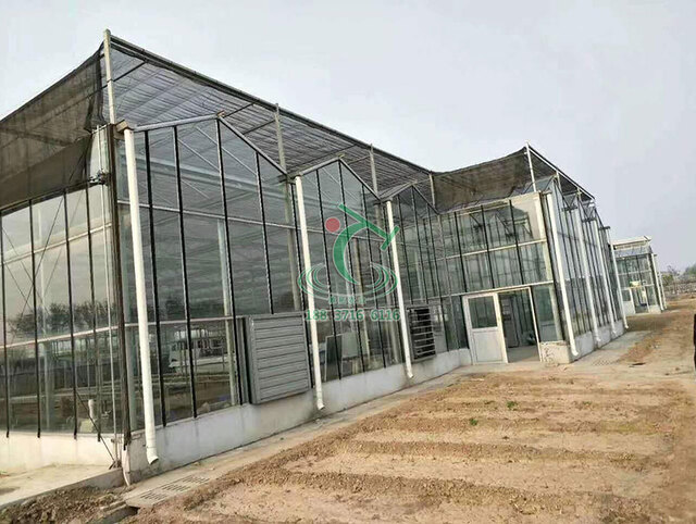 玻璃溫室大棚建造價(jià)格  玻璃溫室大棚建造廠家