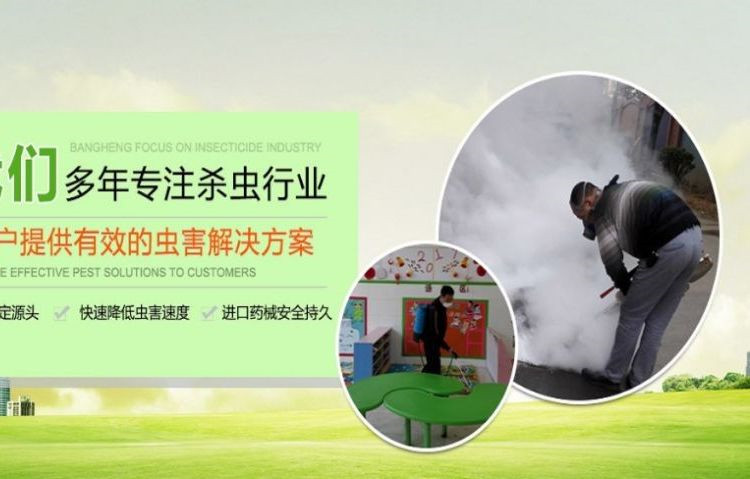 上海 食堂防疫消殺 抓老鼠除四害 除蟑螂滅蚊蠅