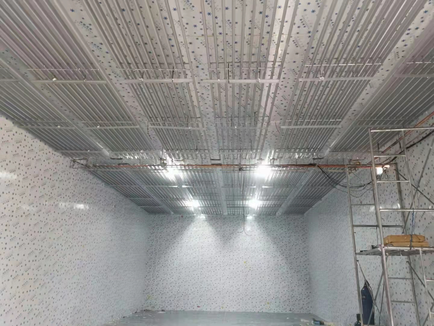 廣西冷庫  冷庫公司  桂林有做冷庫 桂林柿餅冷庫