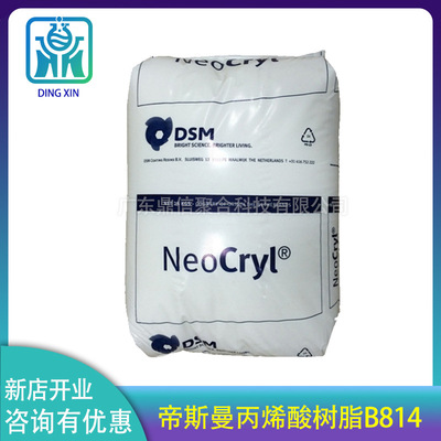 丙烯酸樹(shù)脂B814 荷蘭帝斯曼樹(shù)脂B-814 包裝印刷油墨用 固體丙烯酸