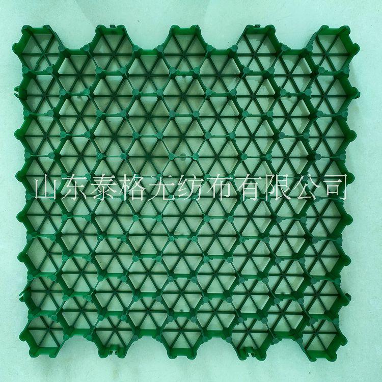 植草格 消防通道植草格 停車場屋頂花園植草板 5公分花口植草格