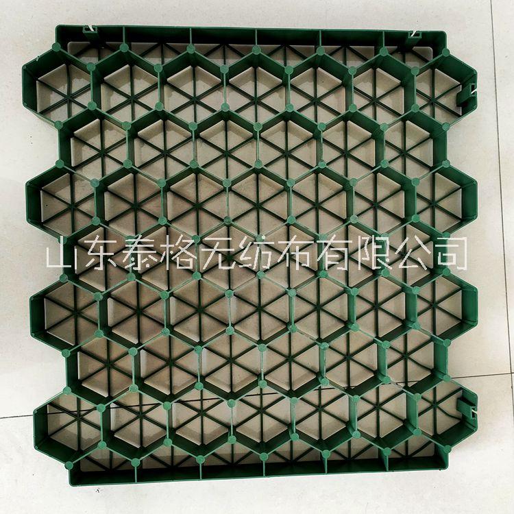 植草格 消防通道植草格 停車場屋頂花園植草板 5公分花口植草格