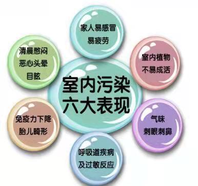 增城新車除異味服務(wù)熱線電話-新車除異味要多少錢-新車除異味公司