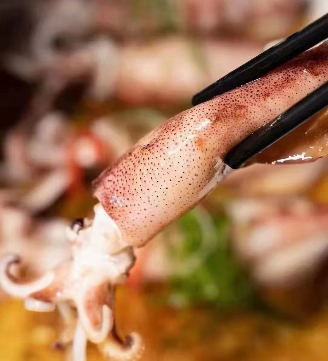 北部灣北海鮮魷魚海鮮水產(chǎn)生鮮魷魚 新鮮魷魚