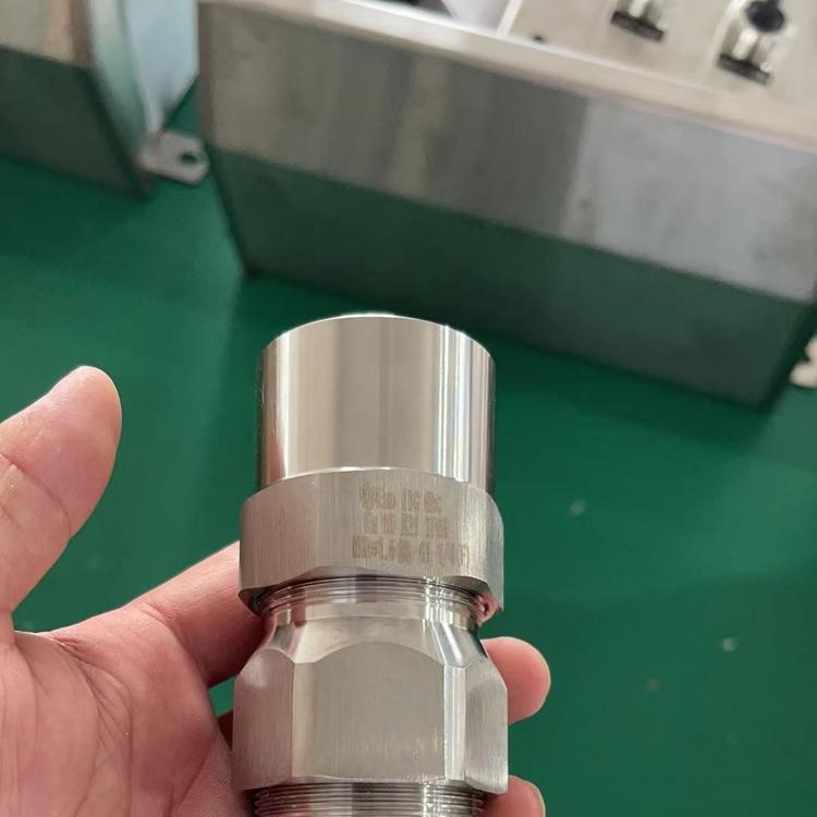 護(hù)套雙密封鎧裝填料函廠家  護(hù)套雙密封鎧裝填料函報(bào)價(jià)