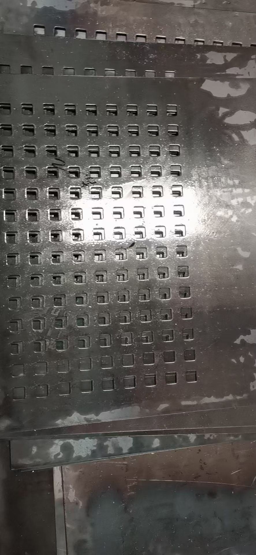 貴州沖孔板定制、多少錢、加工、批發(fā)價(jià)【佛山市金駿寶不銹鋼有限公司】