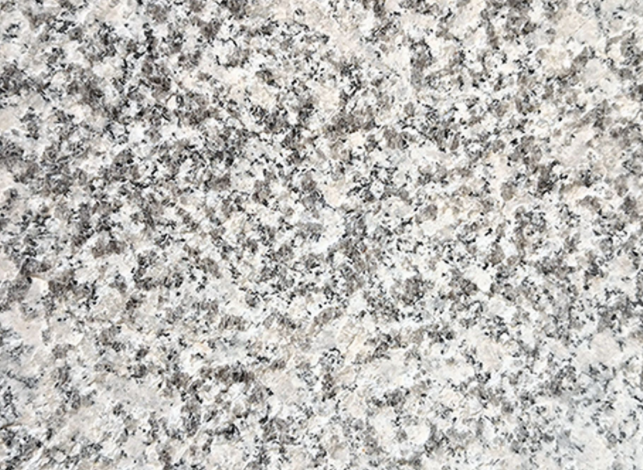 河南芝麻白加工廠