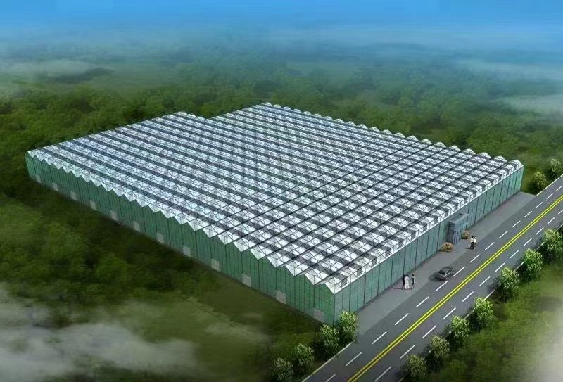玻璃溫室 智能玻璃溫室 玻璃溫室大棚清洗方法 堅(jiān)固耐用