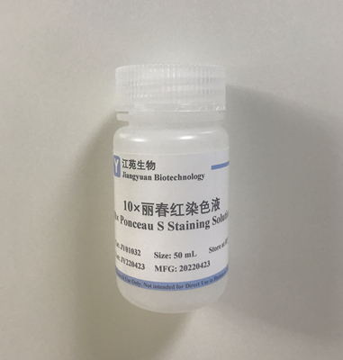 10x麗春紅染色液 轉(zhuǎn)膜效率檢測(cè) 江苑生物