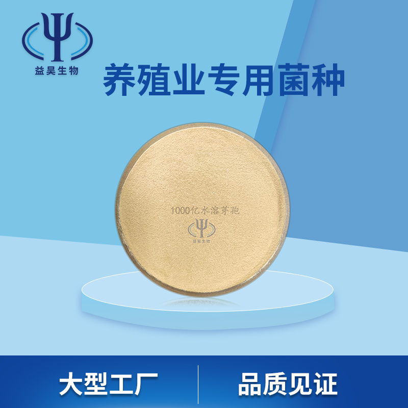 枯草芽孢桿菌水產(chǎn)養(yǎng)殖*調(diào)水凈水抑制青苔 枯草芽孢桿菌飼料添加劑