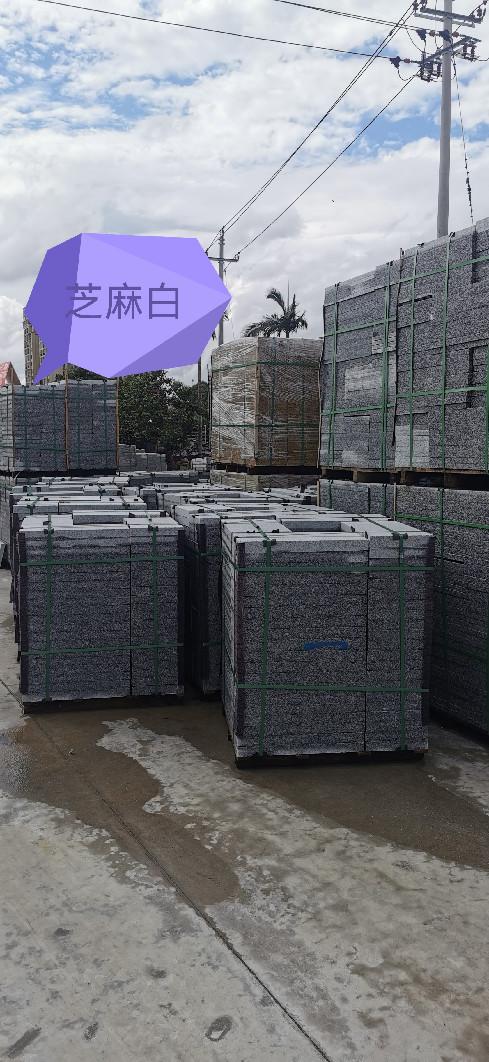 芝麻白哪家實(shí)惠