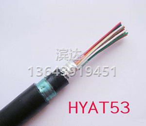 通信電纜HYAT53廠商   通信電纜HYAT5哪里好