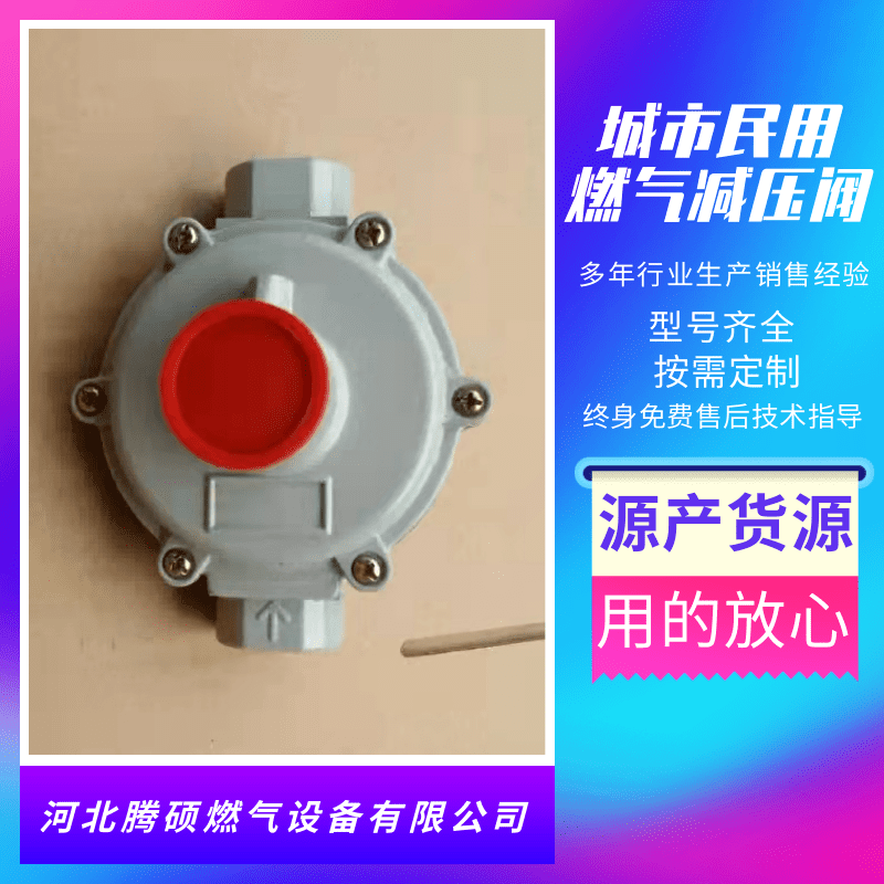 中壓進(jìn)戶(hù)表前燃?xì)庹{(diào)壓器生產(chǎn)廠家_中壓進(jìn)戶(hù)表前燃?xì)庹{(diào)壓器供應(yīng)商找哪家