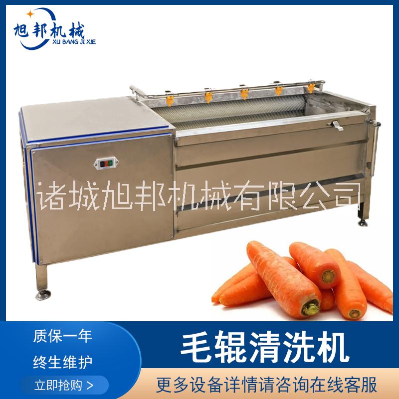 供應(yīng)海蠣子去泥清洗設(shè)備 全自動扇貝清洗機(jī) 多功能毛輥清洗去皮機(jī) 毛輥清洗機(jī)