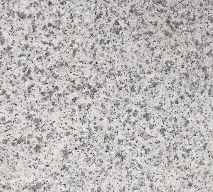 芝麻白哪里有賣  芝麻白價格