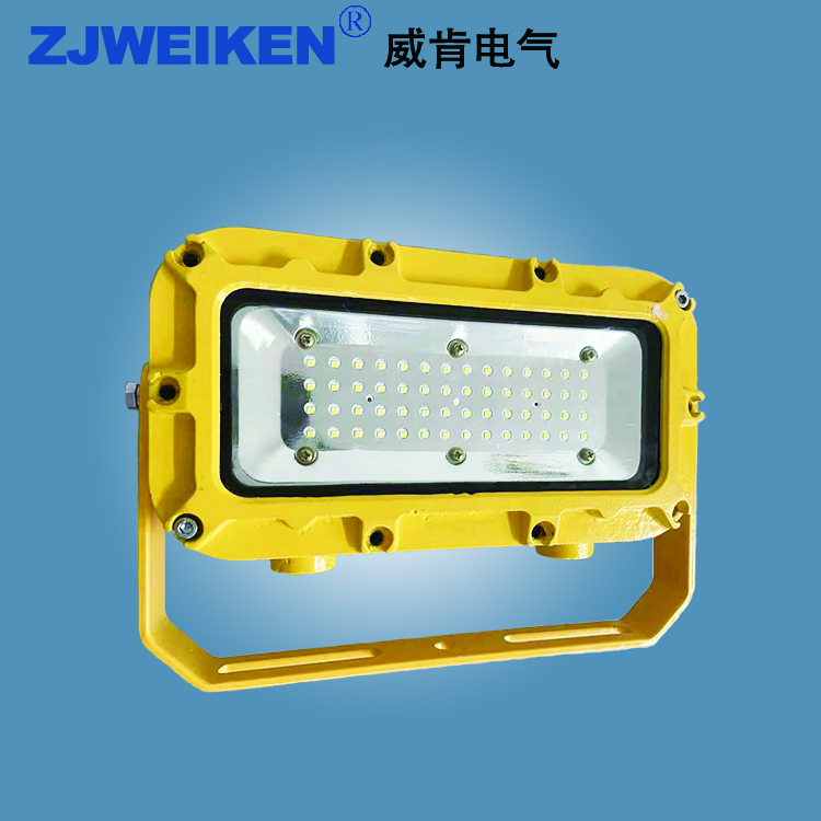 浙江威肯電氣DGC80W/127L 支架燈 隔爆型了ED支架燈 DGC80W/127L支架燈
