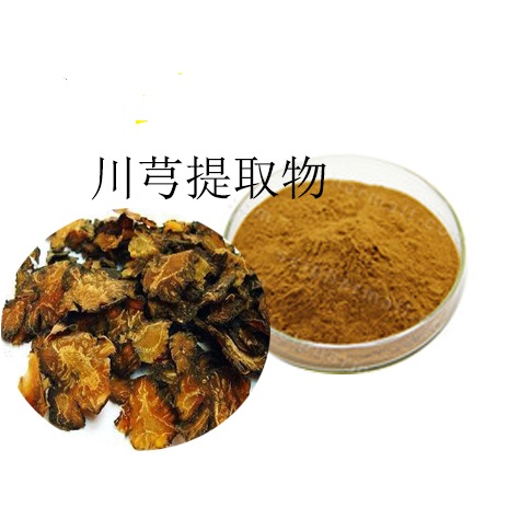 川芎提取物 川芎粉