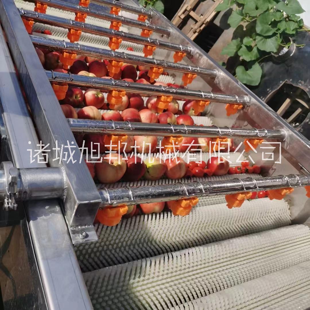 供應(yīng)平行毛輥清洗機(jī) 蘿卜洋芋清洗加工設(shè)備 多功能海鮮去泥流水線