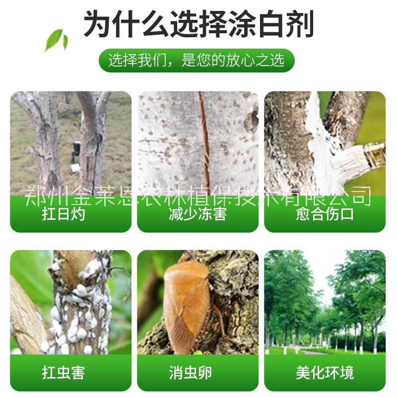 護(hù)樹寶大樹涂白劑