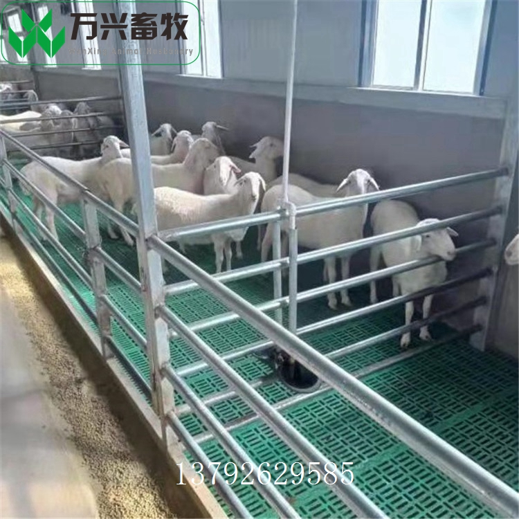 塑料羊屎板 防滑羊漏糞板 羊床漏糞板圖片
