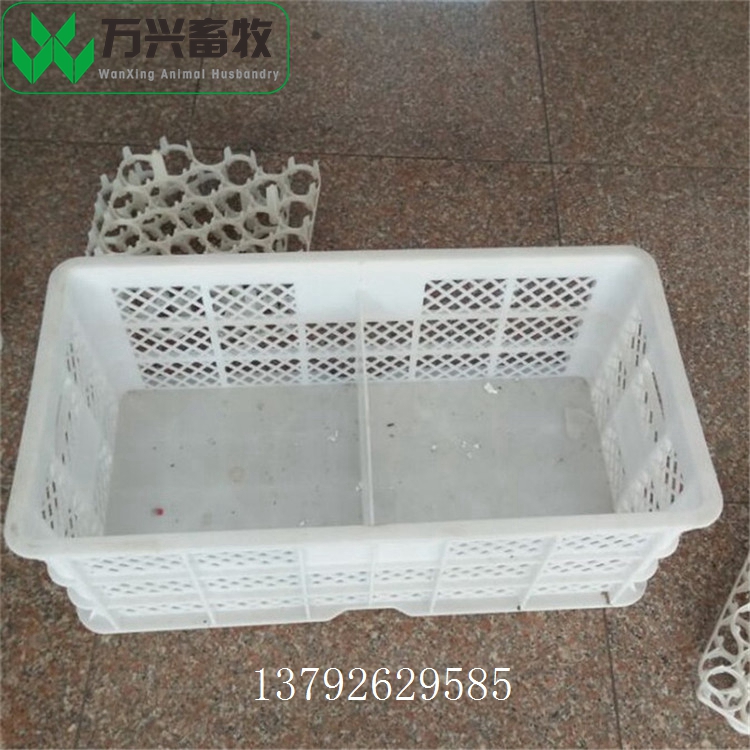 種蛋周轉(zhuǎn)箱 雞蛋轉(zhuǎn)運筐 雞蛋轉(zhuǎn)運箱