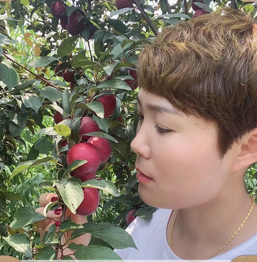 現(xiàn)貨現(xiàn)發(fā)當(dāng)季李子 新鮮錢排三華李 水果酸脆紅心櫻桃李