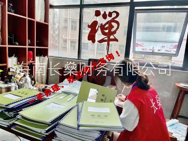 全國審計，評估，稅審資產(chǎn)報告等