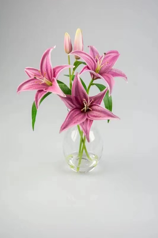 深圳仿真花假水生產(chǎn)設(shè)備價(jià)格 假花假水灌封廠家