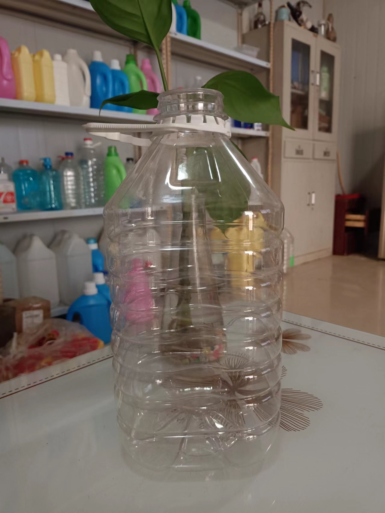 湖北襄樊市1L飲料瓶廠家，襄樊市2.5L食用油塑料桶，塑料壺生產(chǎn)