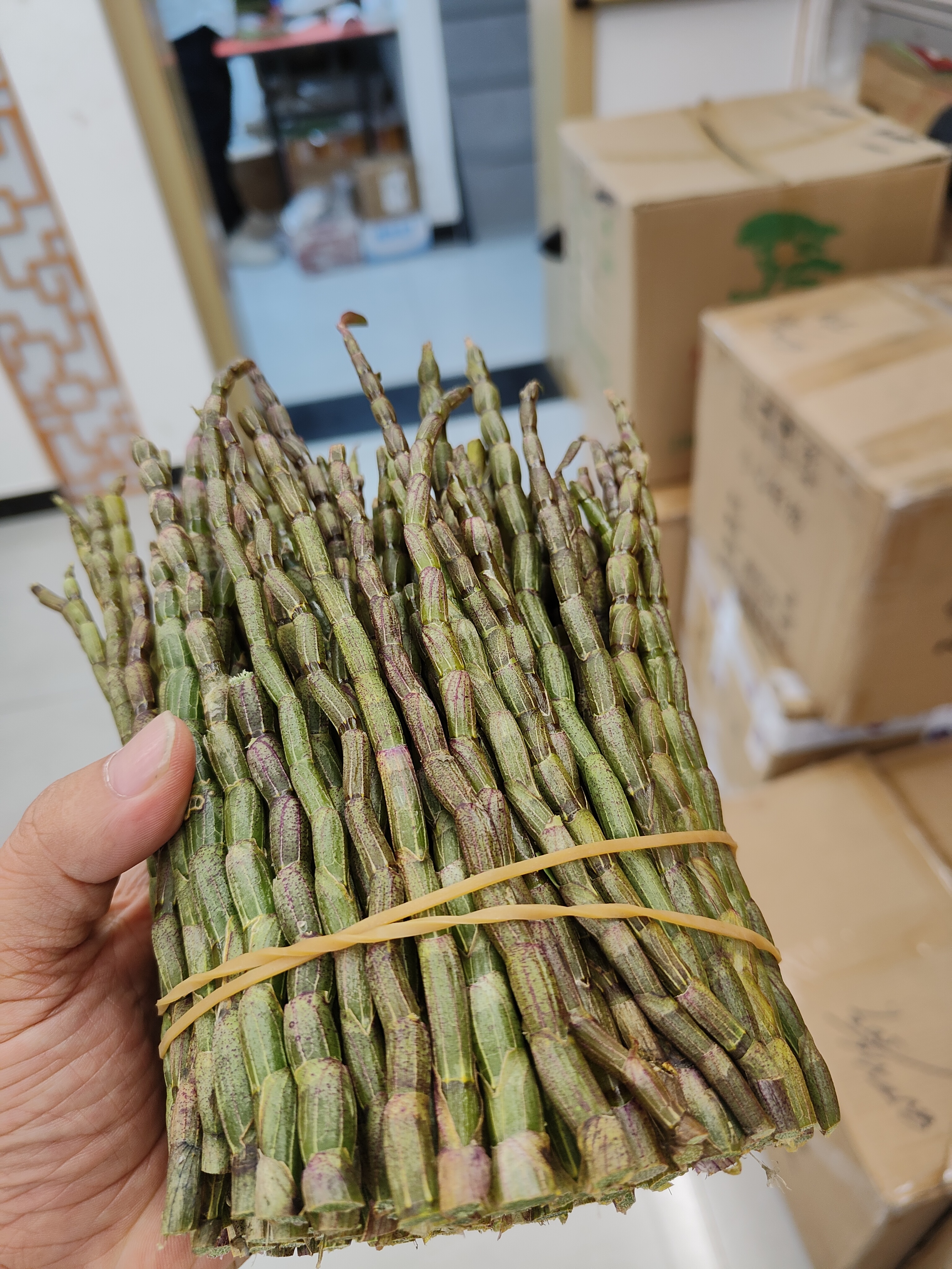 霍山石斛批發(fā) 石斛種植 養(yǎng)生茶中藥材