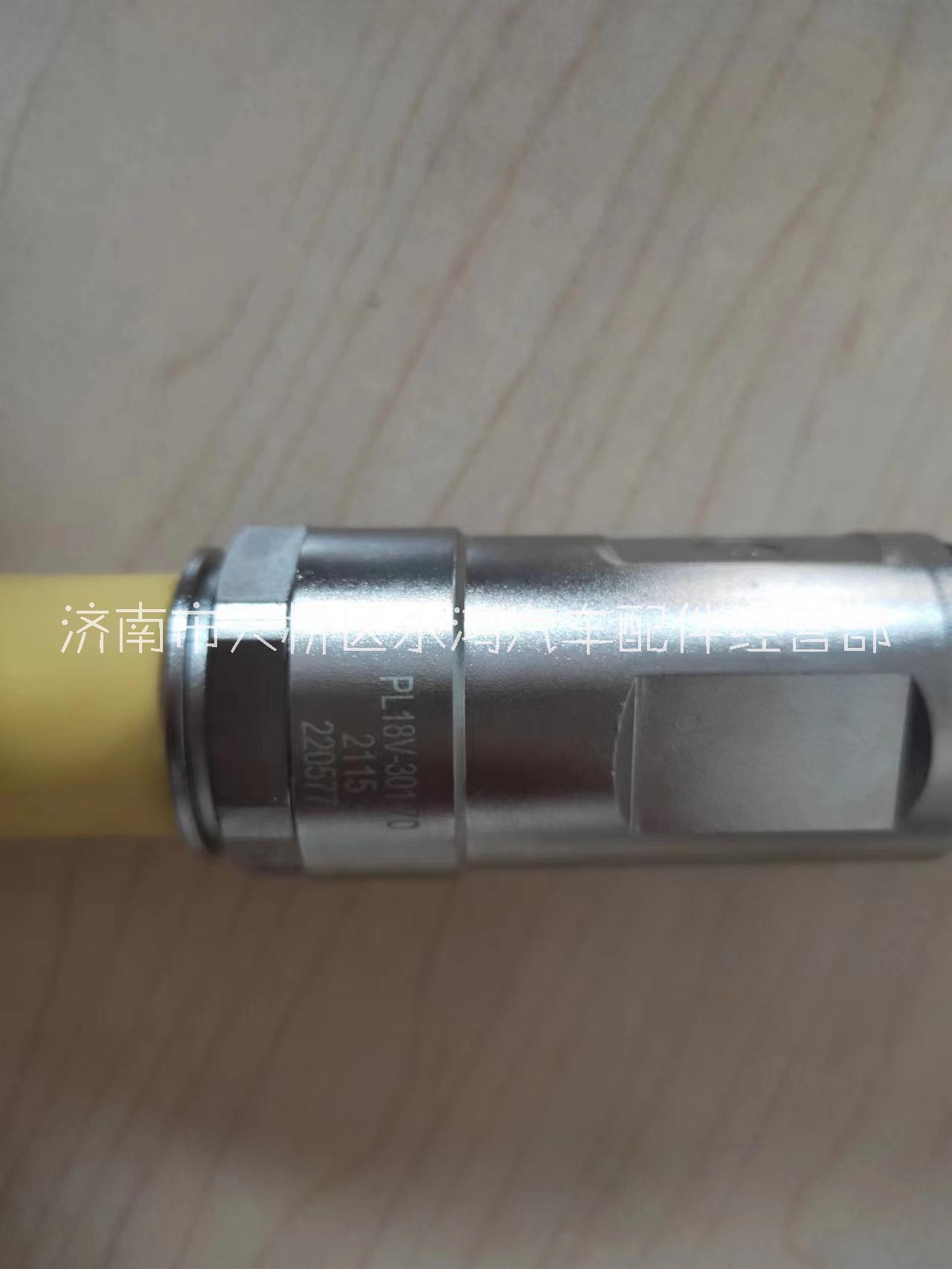 陜汽電動(dòng)車DZ96259781183單芯高壓線纜/