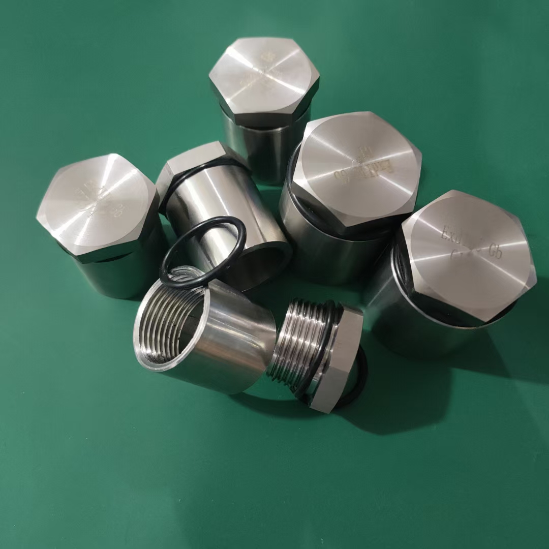 旋入式塞頭批發(fā)_價(jià)錢(qián)_出廠價(jià)_銷售_聯(lián)系電話_找哪家【樂(lè)清振磊防爆電器有限公司】