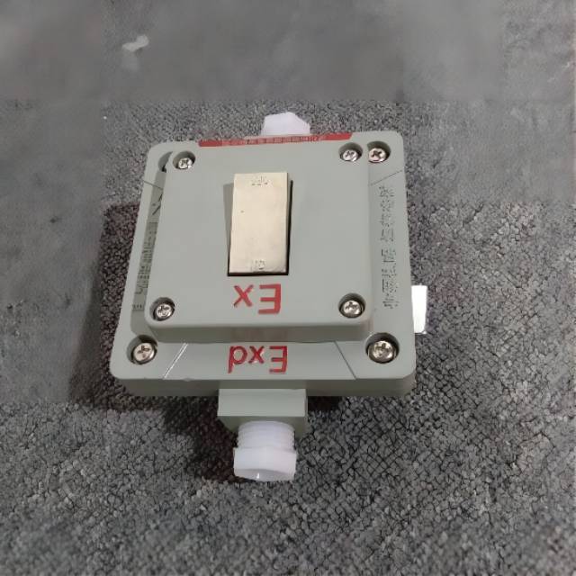 供應(yīng)防爆腳踏開關(guān) 防爆開關(guān)批發(fā) 【樂清振磊防爆電器有限公司】