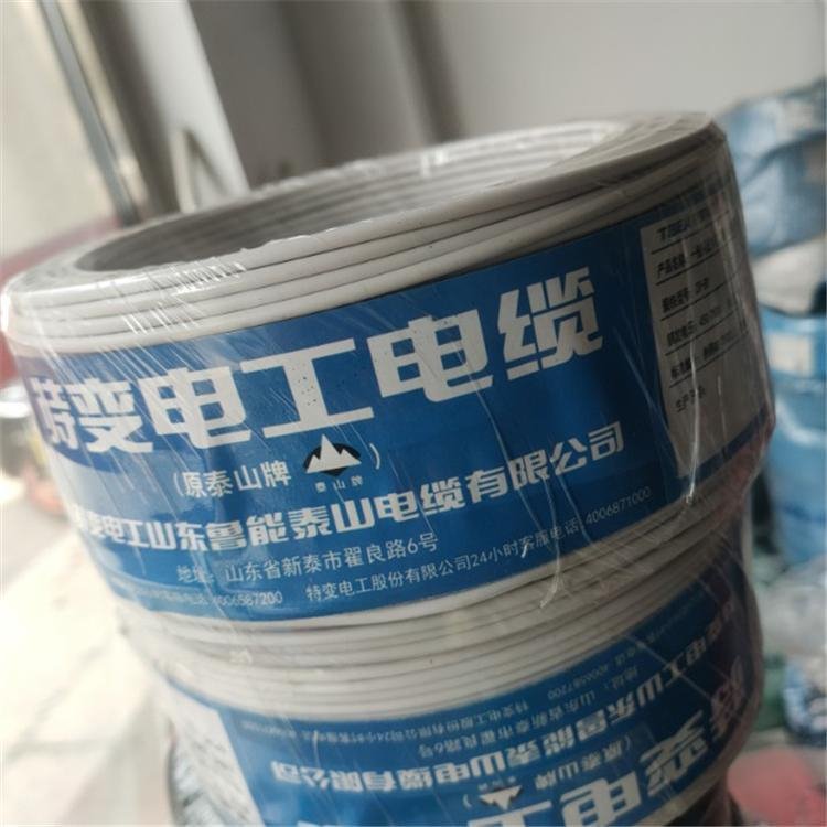 特變電工WDZ-BYJ 2.5 電線(xiàn)電纜廠(chǎng)家批發(fā) 鋁芯高壓電纜