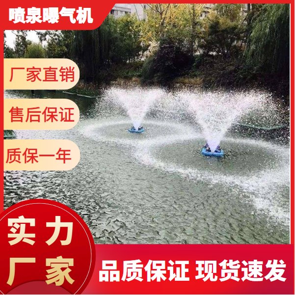 南京噴泉曝氣機(jī)廠家-價格-直銷-供應(yīng)