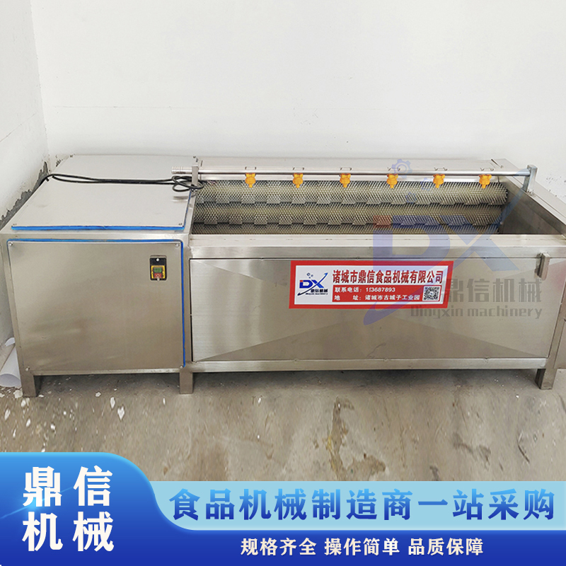 圓蔥去皮清洗設(shè)備 山藥去皮清洗機(jī)  土豆毛輥清洗機(jī) 生姜清洗設(shè)備