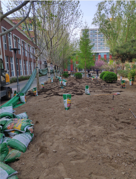 房山區(qū)庭院立體綠化養(yǎng)護(hù)價(jià)格 北京多場(chǎng)景可用花卉修剪哪家好