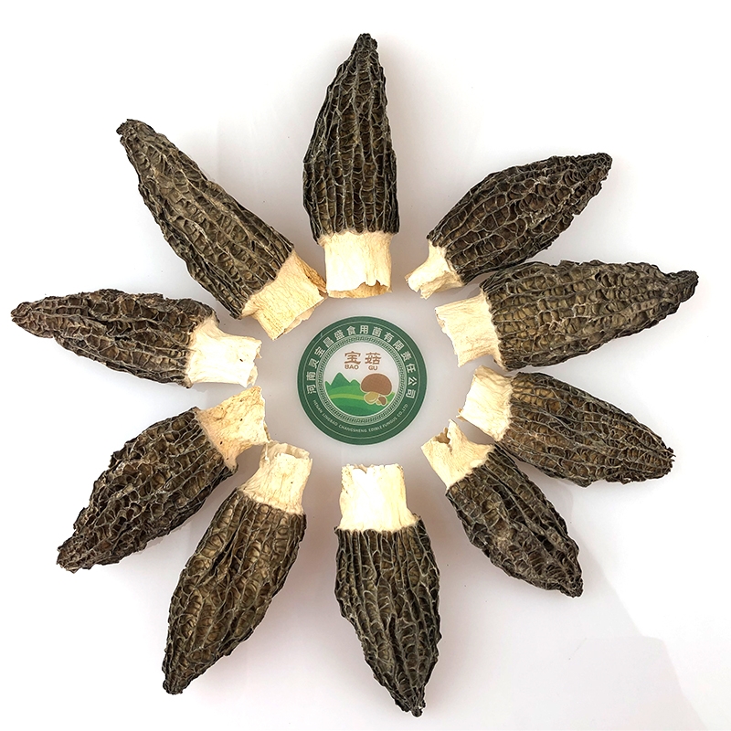 河南羊肚菌供應(yīng)批發(fā)零售2023羊肚菌干貨廠家批發(fā)供應(yīng)