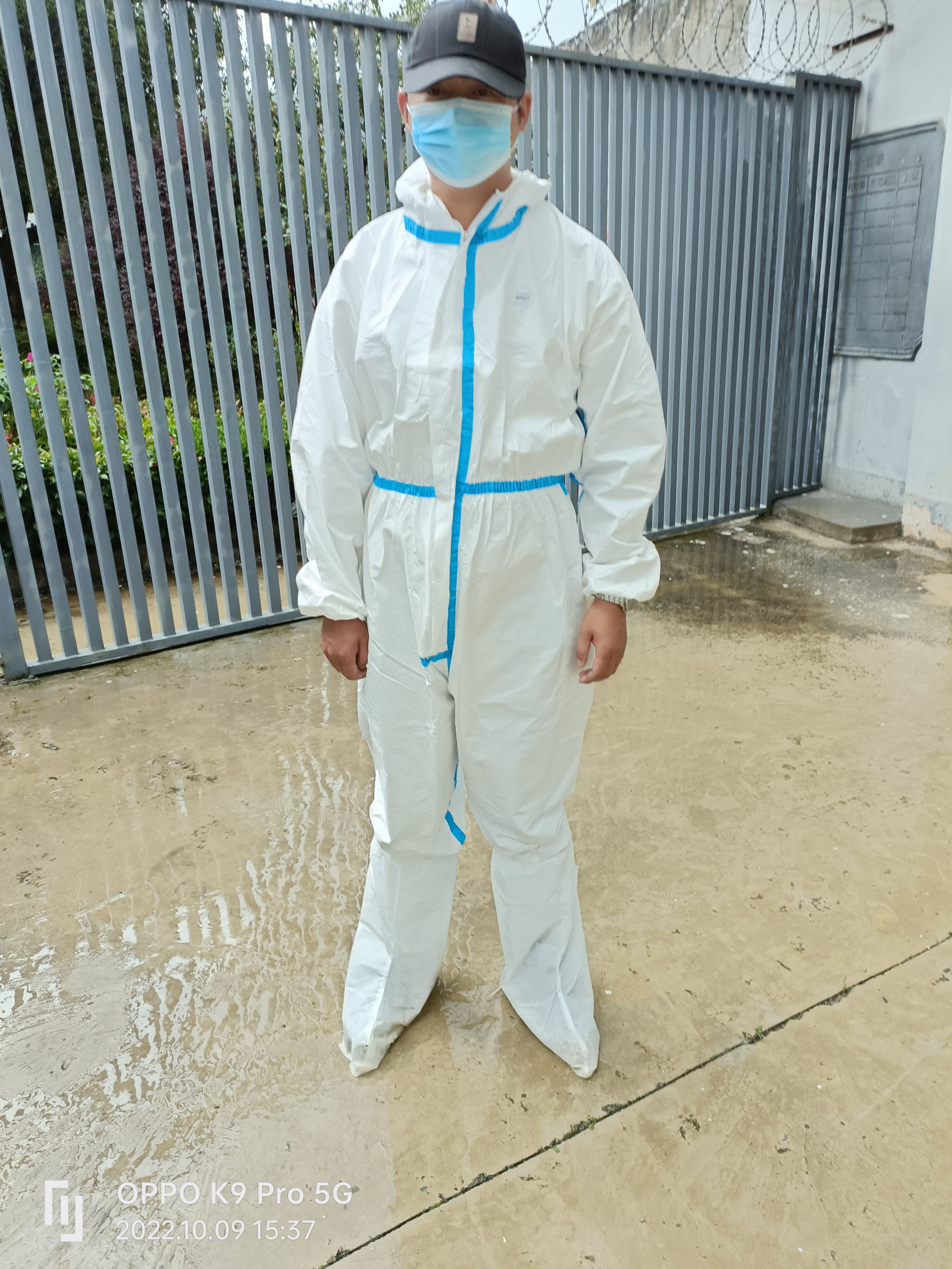 麗江大研街道滅白蟻防治公司     滅白蟻收費(fèi)標(biāo)準(zhǔn) 供應(yīng)滅白蟻