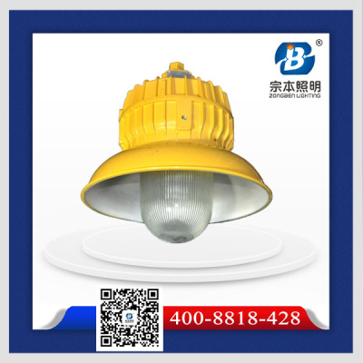 供應GB8154內場防爆燈紫光GB8154