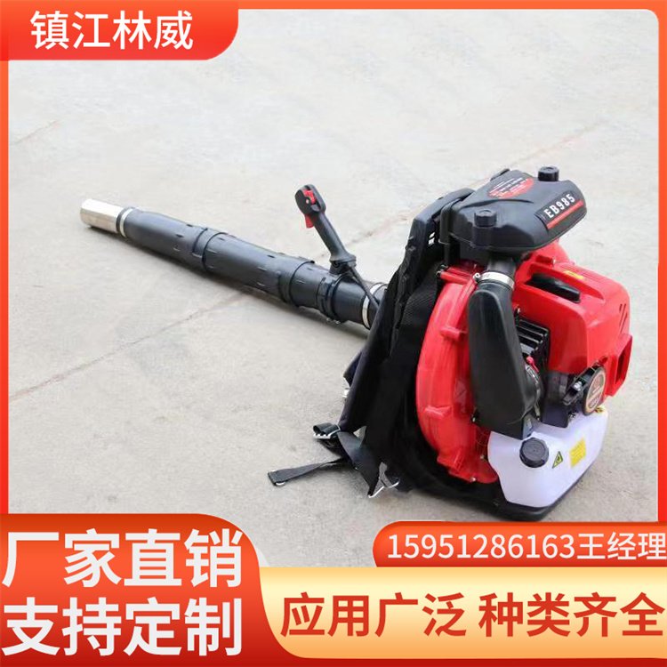 背負(fù)式風(fēng)力滅火機(jī)廠家-價格-直銷-批發(fā)