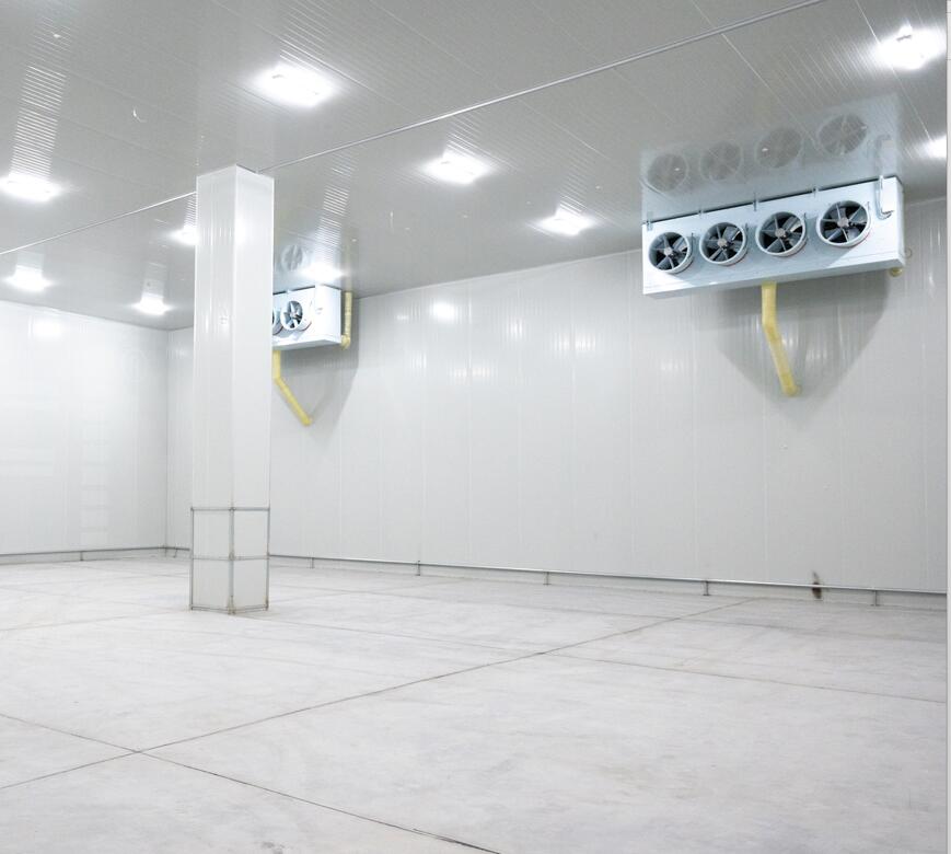 果蔬保鮮冷庫價(jià)格 保鮮冷庫安裝多少錢  水果冷藏冷庫 水果冷庫 水果蔬菜冷庫