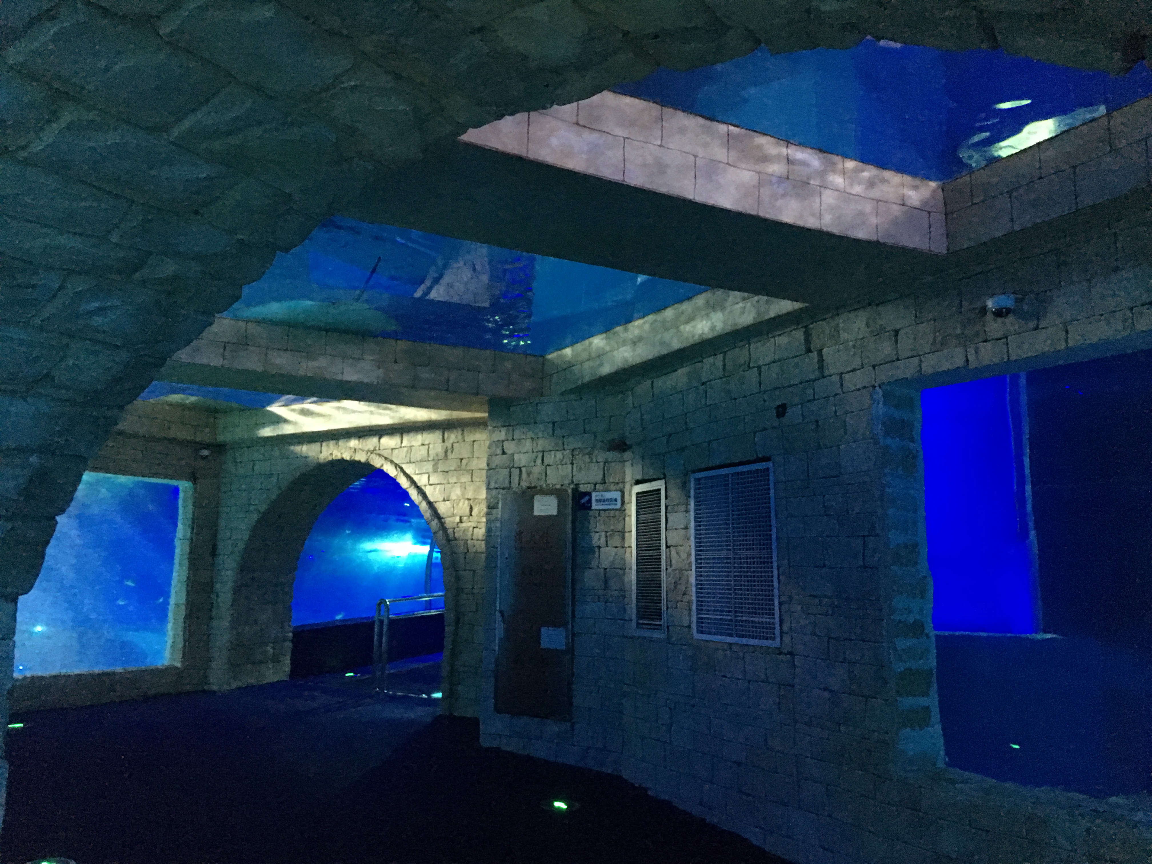 水族館透明亞克力隧道設(shè)計(jì)安裝公司_亞克力海底隧道工程