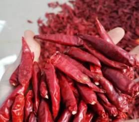 怎樣進(jìn)口辣椒 印度辣椒產(chǎn)季來了，快來看看關(guān)于辣椒的進(jìn)口清關(guān)知識