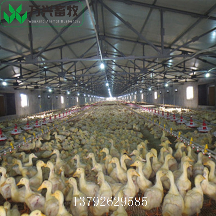 供應(yīng)萬興畜牧雞鴨鵝舍塑料漏糞地板 規(guī)格1200×500×40mm